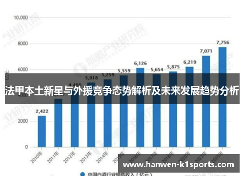 法甲本土新星与外援竞争态势解析及未来发展趋势分析